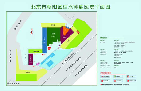 正在播放操屄视频北京市朝阳区桓兴肿瘤医院平面图